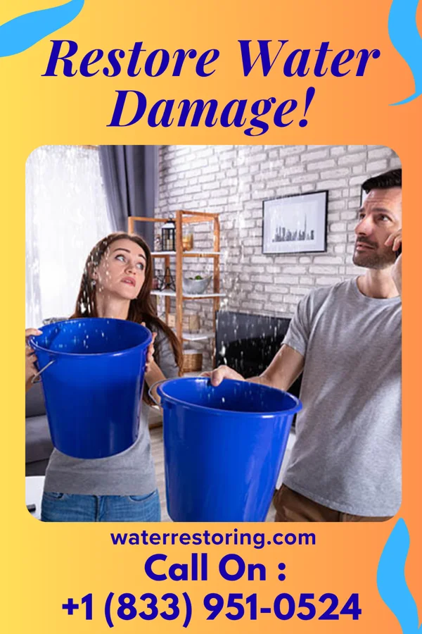 water restoration Ironclad Damage Recovery Inc Lake Villa