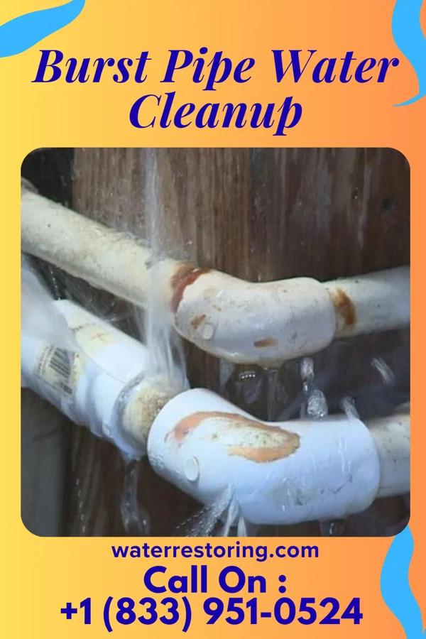Burst Pipe Water Cleanup in Lake Villa, IL