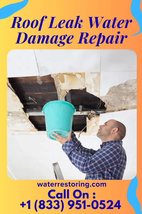 Roof Leak Water Damage Repair in Lake Villa, IL